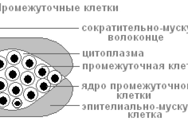 Кракен даркнет зайти