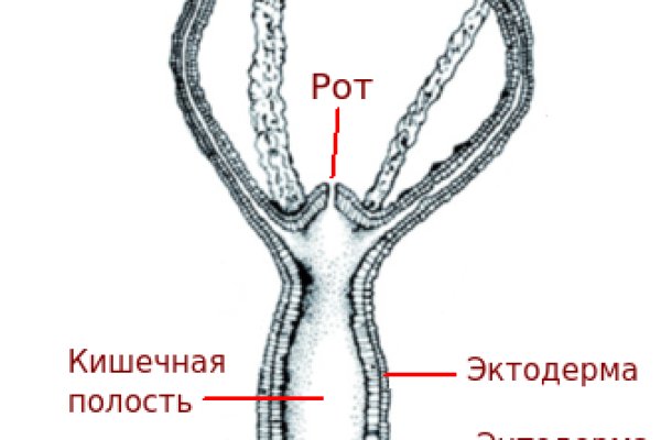 2krn cc кракен